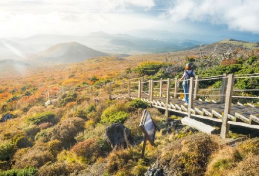 【济州岛定制包车】新西南汉拿山+羊驼牧场+泰迪熊博物馆一日游【济州岛9小时包车 中文司机+中文管家，全程VIP臻享服务，9小时足量时长，细节拉满，出行无忧超靠谱】
