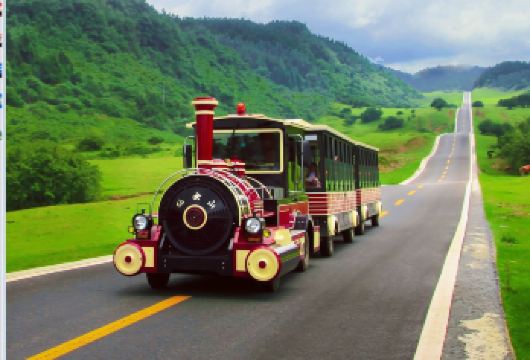 【8人小团】重庆仙女山国家森林公园+天生三桥一日游【乌江画廊专线，无惧任何对比模仿，不做中间商，不扣差价，只做厚道人心、匠心品质，良心价格，只为您避坑。】