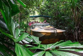 凯恩斯库兰达热带雨林一日游 中英文火车缆车雨林公园自由选择【多样化套餐可自由选择，缆车 火车 热带公园等景点自由搭配 更有含午餐套餐更省心】