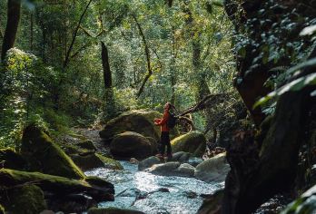 高黎贡山五道溪5公里徒步拼团一日游【[缤纷景点]穿越原始密林，探索自然奥秘】