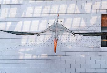 成都自然博物馆【川叔讲故事奇妙世界资深讲师2H精讲私家小团】【[VIP小团]人少看的清听得清】