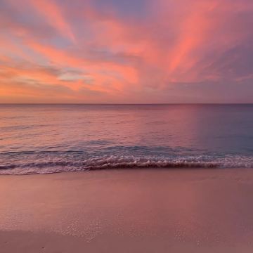 拿骚：Ship Channel Cay 岛网红游泳猪1日游