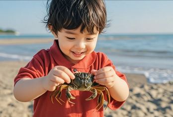 厦门环岛路市区赶海一日游【亲子赶海抓鱼虾螃蟹+沙滩海鲜餐】【[体验式旅游]旅游新体验，亲子互动游玩，体验渔民海边乐园，滩涂赶海抓蟹，抓海货】