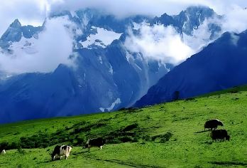 丽江玉龙雪山一日游 蓝月谷+云杉坪 可选看日出/晚出发包接送【纯玩保证：纯玩一日游，全程0隐形消费，让您出游没有后顾之忧。】