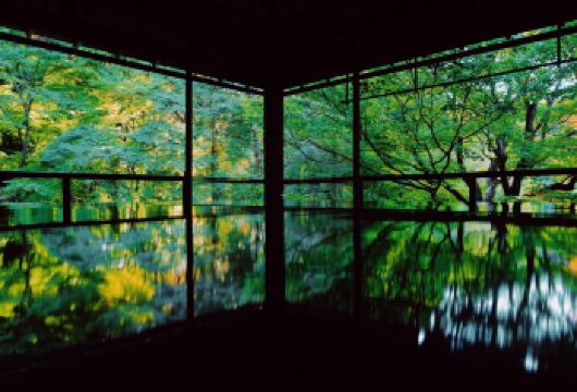 日本京都.琉璃光院.三千院.岚山巍峨野小火车-红叶巡礼红叶季【专业行程定制，精选热门景点，高效游玩不走回头路，贴心服务保障，轻松】