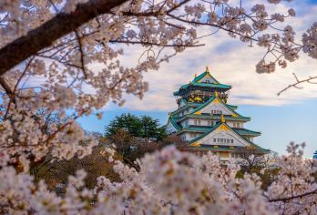 日本京都-琉璃光院-三千院-贵船神社-红叶满天 京都巡礼【专业行程定制，精选热门景点，高效游玩不走回头路，贴心服务保障，轻松】