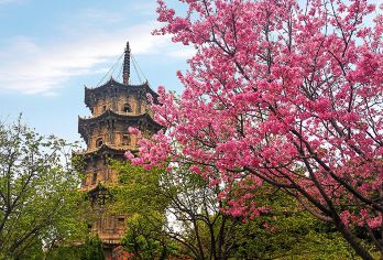 梧林+永宁+洛伽寺+小威海+泉州古城+西街+开元寺赠传统簪花【[精品线路策划]反复踩线 精选古城游玩线路，带你玩转“地道泉州”;重走海上丝绸之路，探秘泉州海洋文明】