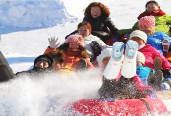 阳光滑雪场一日游【滑雪新手看过来+雪板雪圈都可玩】【随车配备滑雪大神领队，玩的放心，玩的开心！】