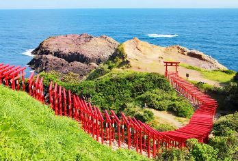 日本北九州唐户市场＆角岛大桥＆元乃隅神社一日游【穿梭复古西洋建筑群，登上展望台远眺关门海峡，感受明治时代的海港浪漫。】