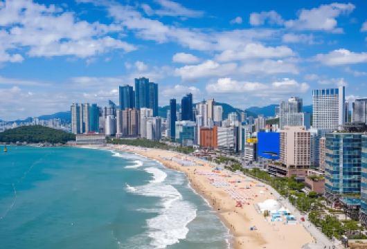 【釜山市区拼团一日游】海东龙宫寺+清沙浦+海云台蓝线公园【由釜山专业认证的顶级导游带领，深入了解釜山的历史、文化和美食！】