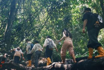 西双版纳基诺山巴朵雨林徒步一日游【可选自驾、接送、独立向导】【[雨林徒步排头兵]基诺山雨林徒步线路领军者，研学户外线路，个性化团型供您选择！】