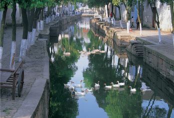 周庄·同里古镇包车一日游【包车直达】