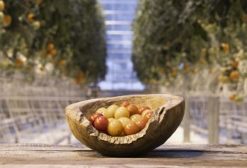 冰岛黄金圈大环线+火口湖+番茄农场一日游|精致小团市区接送【黄金圈大环线深度游，含Kerið火山口湖门票，非普通打卡行程！】