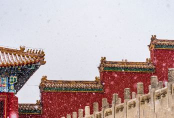 北京故宫博物院+颐和园一日游【升级五环内接/深度讲解】【[安心出行]品质舒适大巴，全车每天消毒，体温检测，空座率！】