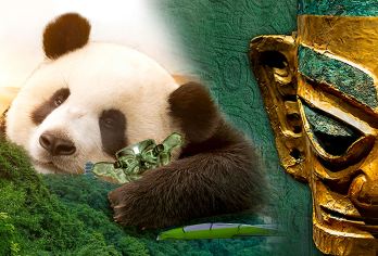 熊猫基地+三星堆博物馆一日游【跟团游/包车游/含门票导游】【[产品亮点]：1，真纯玩不进购物店，以及隐形购物店；2，导游车上不推销特产；3，全程1个导游陪同。】