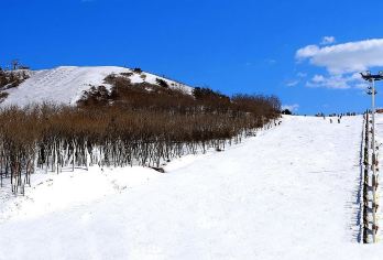沈阳怪坡滑雪纯玩跟团一日游【[品质保证]纯玩品质，自家发团，旅行社承诺不进任何暗点，真正0购物团型】