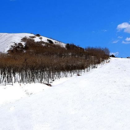 沈阳怪坡滑雪纯玩跟团一日游