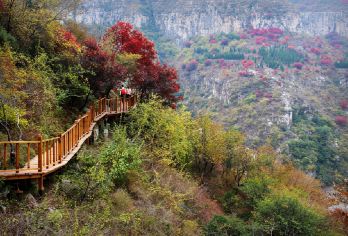 【沧州出发】济南青铜山汽车一日游【品质出游】