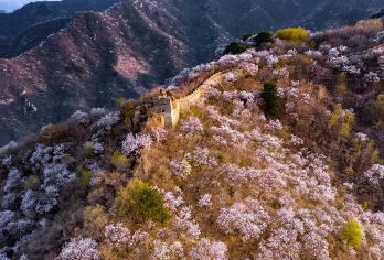 【免费五环接】八达岭长城+颐和园+圆明园一日活动·赠纪念币【[多团型可选]45人经济团、28人舒适小团、4-7人达人专属团、小包团按需选择】