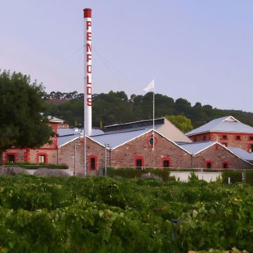 醉美南澳！巴罗萨谷酒庄一日游｜奔富玛吉尔庄园 + 神奇回音壁