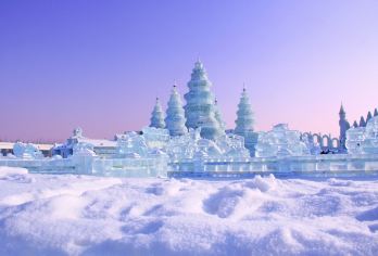 哈尔滨冰雪大世界+中央大街+圣索菲亚大教堂一日游【自由行】【纯游玩体验，尽享东北风情】