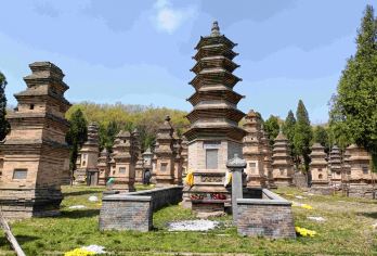 中国河南登封少林寺半日游【[洛阳市区内集合纯玩无购物 资深导游讲解24h管家服务】
