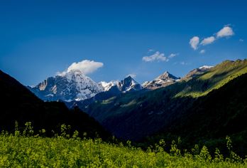 四姑娘山+双桥沟景区一日游跟团游&空调大巴/头等舱&导游讲解【[导游讲解]：陪同进景区，上行观光车陪同（区分于常规产品导游讲解少）；】