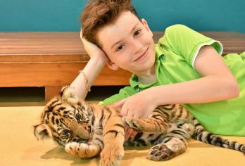 【摸老虎】普吉Tiger Park Phuket查龙老虎公园【（含接送套餐）支持普吉（全岛）酒店专车上门接送+每人1份和老虎互动（10-15分钟）4种大小老虎可选】