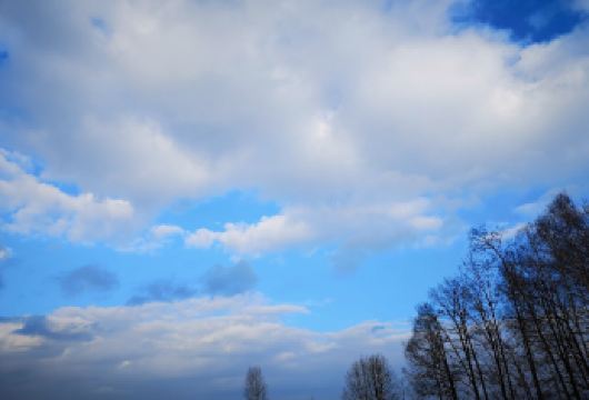 日本北海道旭山动物园+青池一日游/行程可调-可定制多日【包车一日游，解锁旅行新方式！独立车辆配备经验丰富的老司机，为您量身打造专属行程。】