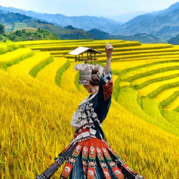 桂林龙脊梯田风景名胜区-金坑梯田+金佛顶一日游【私家团】