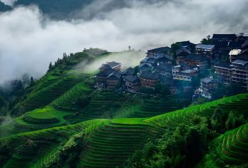 桂林+龙脊+平安梯田一日游【商务小车小团+可选英/法语向导】【一价门票全含，无自费景点，无强制消费！专业外语导游及多年经验老司机带队，客服24h1对1服务。】