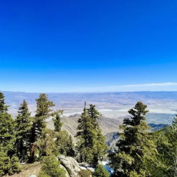 洛杉矶沙漠艺术奇遇：洛杉矶-棕榈泉-救赎山-约书亚树国家公园