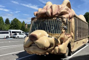 柯南动漫巡礼|大分由布院+九州自然动物园+海灶地狱一日游【一手自营组团，出行安全无忧，超省心！】