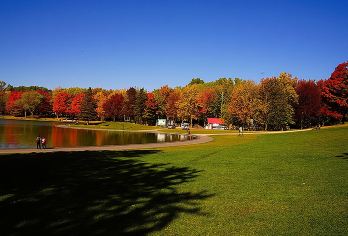 蒙特利尔皇家山公园+蒙特利尔老城+旧港区游览【城市自然与历史全景：不仅参观著名教堂，还将登高俯瞰城市天际线，漫步于充满法式风情的古老街区。】