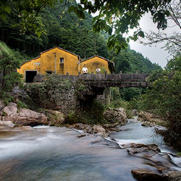 九华山+化城寺+百岁宫+肉身殿+地藏禅寺一日游【池州站出发】