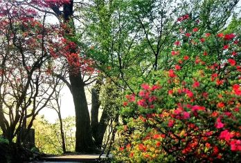 大湾村+马鬃岭+红岭公路+天堂寨【1-6人小包团|轻奢自由】【金寨精华景点，休闲与体验相结合】