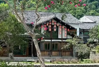 温州楠溪江纯玩包车游【永嘉书院+苍坡古村+陶公洞+丽水古街】【温州上门接送超省心，5/7/18 座车型任选，按需匹配，避免换乘奔波，轻松开启楠溪江之旅。】