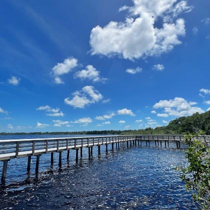 美国迈阿密-大沼泽地公园-享一日自然疗愈【中文包车自由行】