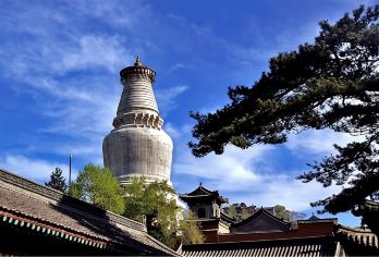 【石家庄出发】五台山一日游（五台山直通车+五爷庙+殊像寺）【山西优选线路，精华景点一次游玩！】