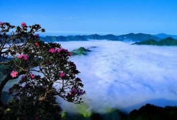 汉中龙头山国际旅游度假区一日游【[尊享专车上门接送]】【[优质景点] 春赏花、夏避暑、秋红叶，冬观雪，四季美景人间仙境。】