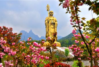 九华山+化城寺+肉身宝殿+地藏禅寺+大愿文化园一日游【池州高铁站免费接送，旅游直通车，一人一座~】