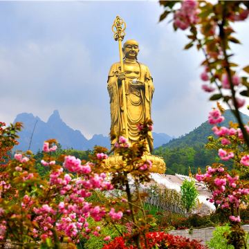 九华山+化城寺+肉身宝殿+地藏禅寺+大愿文化园一日游