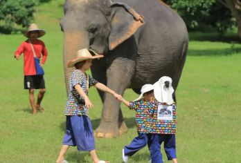 清迈康达大象保护区一日游【上门接送/英文向导|kanta】【和大象互动/喂食大象/和大象亲密接触/亲子甄选】