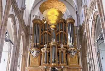 包车专线·二战风云约翰弗罗斯特桥战役足迹【无需为交通烦恼，舒适专车全程接送，行程灵活自由，随心掌控游览节奏，沉浸式感受荷兰风情。】