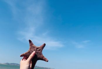 古田会议会址+云水谣包车一日活动【古田会议会址+云水谣包车一日游】