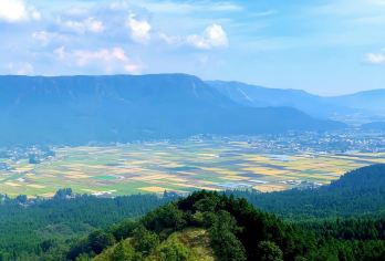 日本九州-熊本往返-大分海之卵水族馆-春日神社-大分精品游【专业行程定制，精选热门景点，高效游玩不走回头路，贴心服务保障，轻松】
