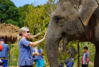 泰国苏梅岛大象王国一日游【公益象园 全岛酒店接送 英文导游】【救助大象之旅，拒绝骑大象，人与自然和谐相处】