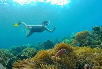 Onbird半天南富国岛快艇探索性浮潜游（最多8-10成人)【富国岛最小团队规模的旅行方案,以避开游客拥挤,团队规模可达8至10人最多。】