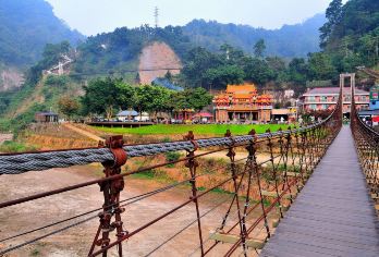 阿里山一日遊｜天長地久& 阿里山小火車＆採茶葉體驗｜台中出發【一日輕鬆抵達阿里山，無須煩惱交通接駁】