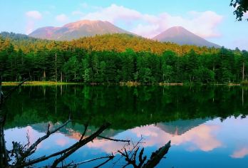 日本北海道-札幌往返-美瑛-富良野-旭川-红叶/冬季必打卡【专业行程定制，精选热门景点，高效游玩不走回头路，贴心服务保障，轻松】